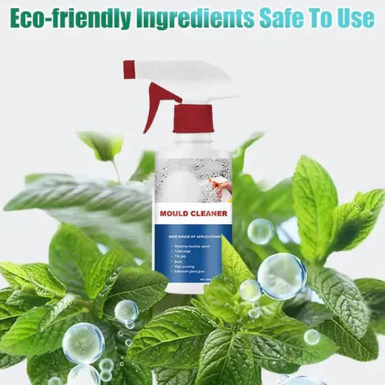 Édition Maison - Mousse nettoyante anti-moisissures non irritante en spray