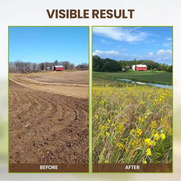 Limited Sale - BUY 2 GET 1 FREE Soil Improvement Loosening Agent