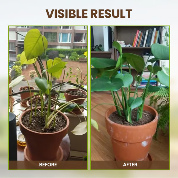 Limited Sale - BUY 2 GET 1 FREE Soil Improvement Loosening Agent