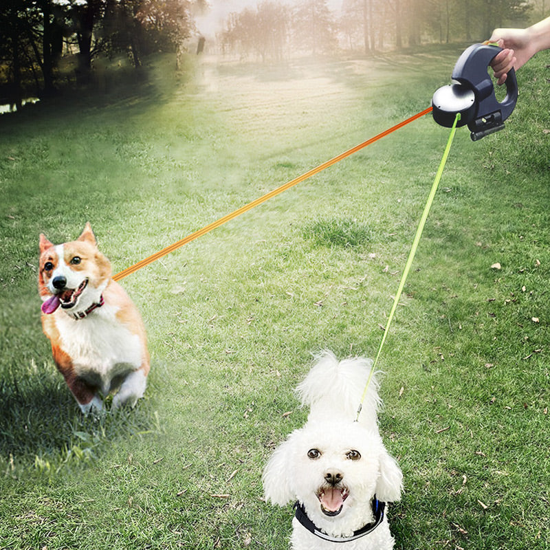 Laisse multifonctionnelle pour promener un chien