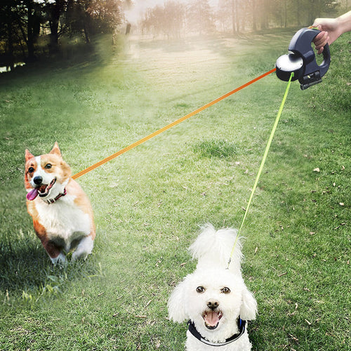 Laisse multifonctionnelle pour promener un chien